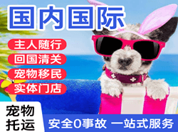 新桥航空物流国际宠物托运 【国